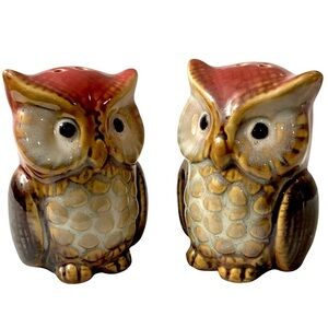 Owl Salt and Pepper Shakers Hand Painted Ceramic Rustic Farmhouse Decorative Set